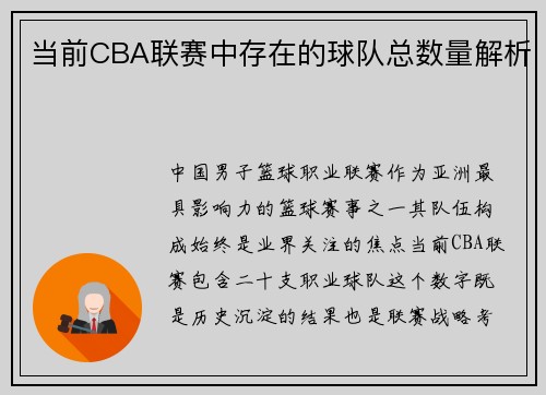 当前CBA联赛中存在的球队总数量解析